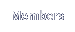 Members
