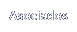 Accionistas