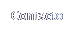 Contacto